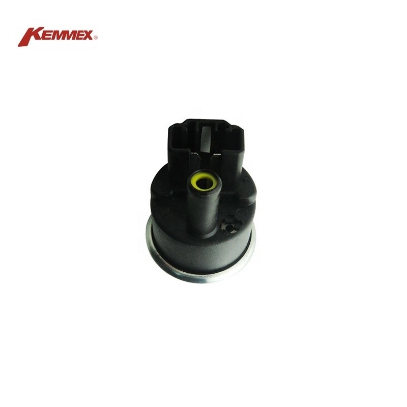 Other Engine KEMMEX EFP381801G Electronic Fuel Pump 0580314079 For OPEL ASTRA 0580314079